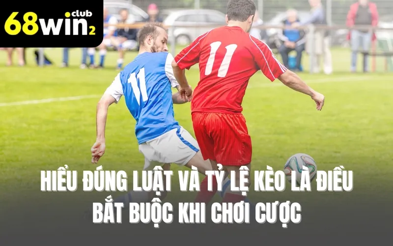 Hiểu đúng luật và tỷ lệ kèo là điều bắt buộc khi chơi cược